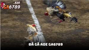 Đá gà AOE - Trải nghiệm cá cược kịch tính tại GA6789